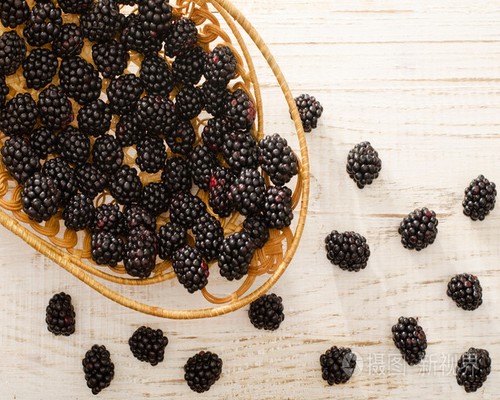 黑莓浆