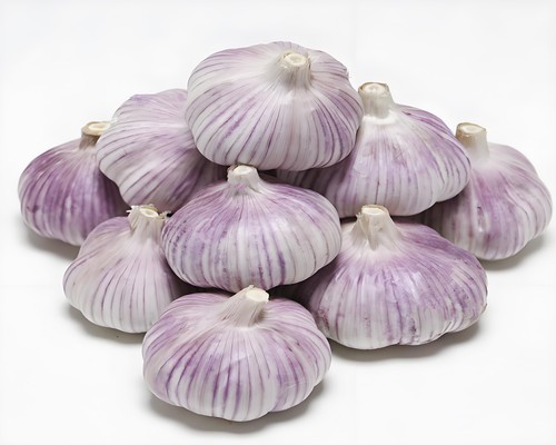 紫皮蒜